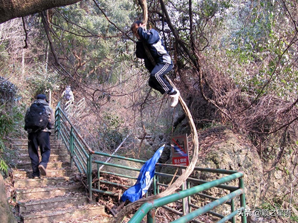 宁波九龙湖风景区游玩攻略_宁波九龙湖旅游攻略_宁波风景区九龙湖