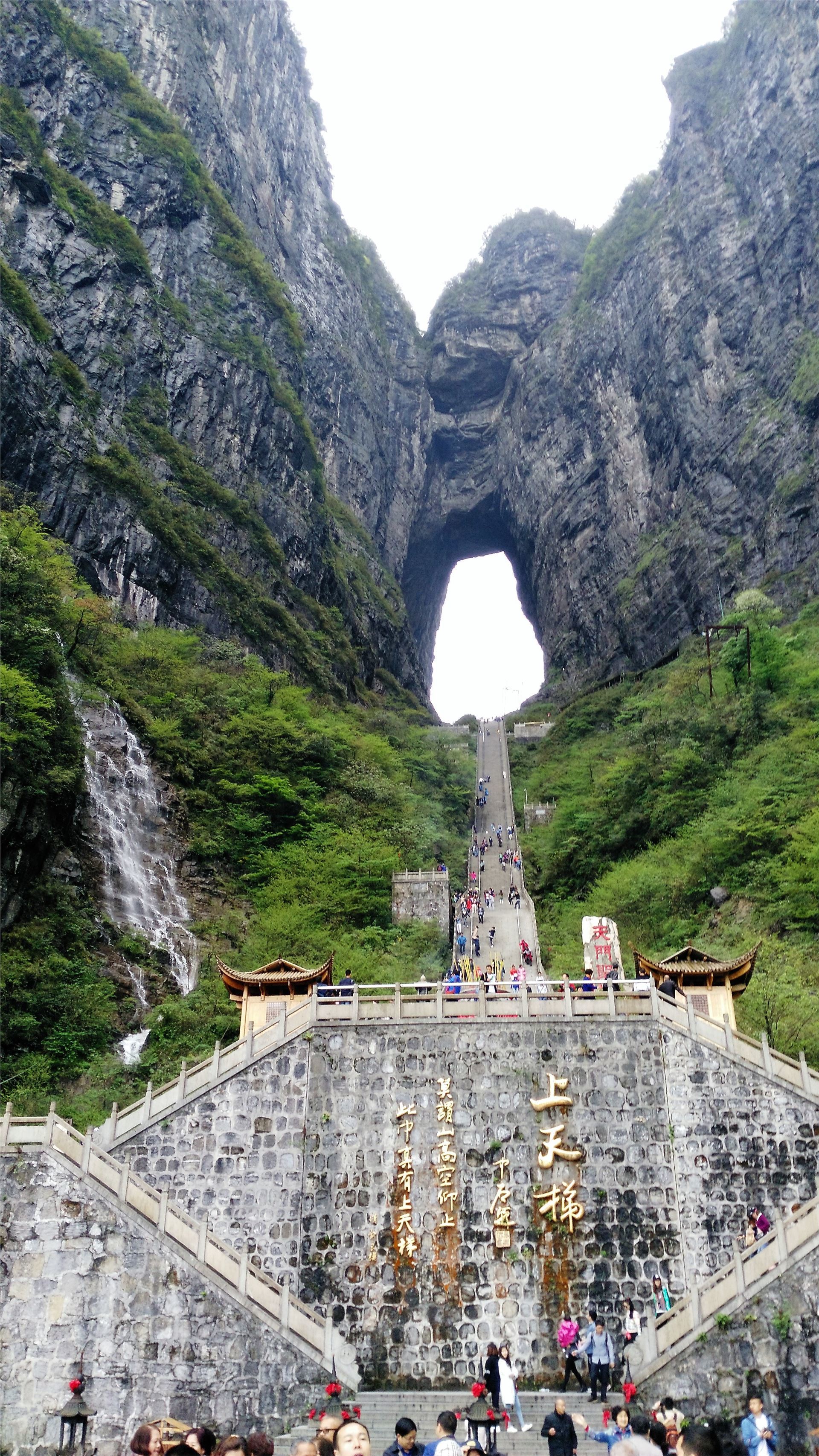 张家界国家森林公园和天门山哪个好玩_张家界天门山森林公园地址_张家界天门山森林公园简介