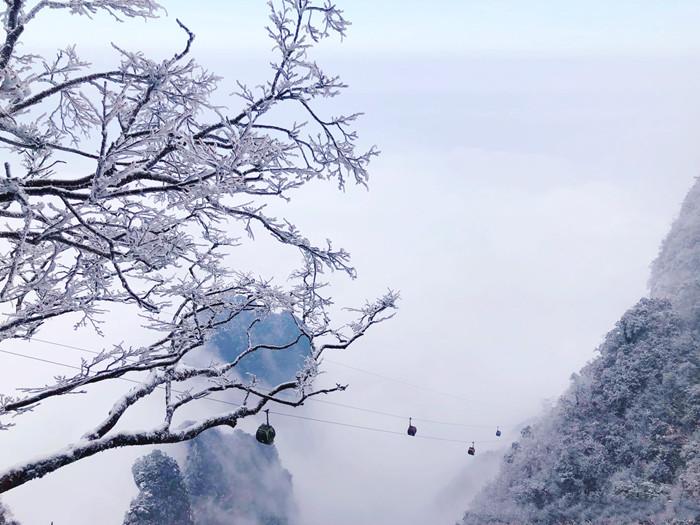 张家界天门山森林公园简介_张家界国家森林公园和天门山哪个好玩_张家界天门山森林公园地址