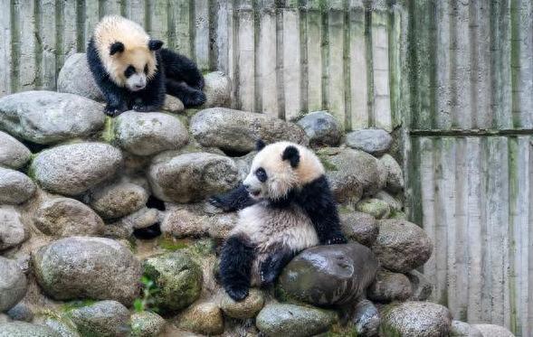 成都最值得去的十大景点，你去过几个？