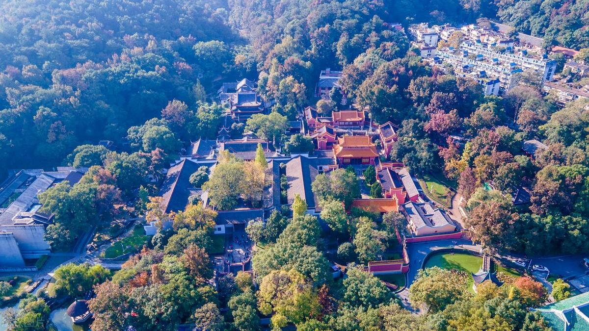 老年旅游国内人数统计_老年人国内旅游_中国老年旅游