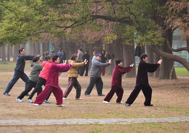 中国老年旅游_老年旅游国内人数统计_老年人国内旅游