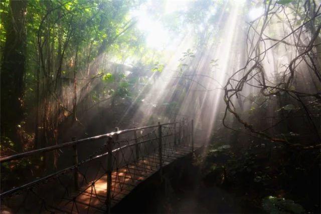 深圳好玩的景点排名_深圳免费景点好玩排名_南京哪里好玩景点排名