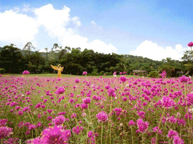 深圳免费景点好玩排名_南京哪里好玩景点排名_深圳好玩的景点排名