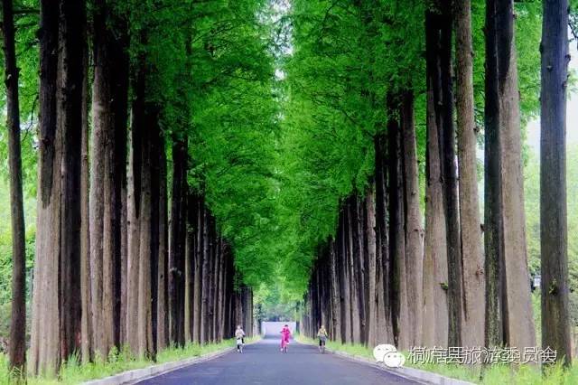 泾县查济古村旅游攻略_桐庐 旅游攻略_桐庐古村落旅游攻略