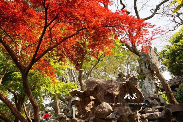 杭州好玩还是苏州好玩_苏州好玩的景点_瑞安景点哪里好玩