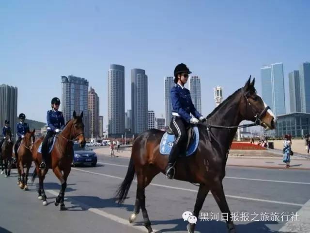 上海同里旅游攻略_同里 旅游攻略_杭州到同里旅游攻略