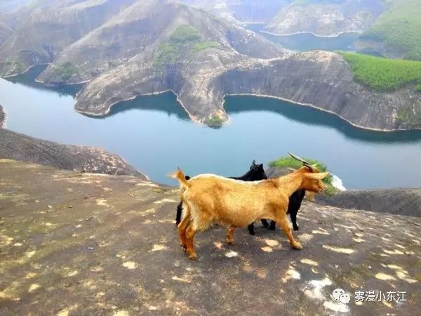 自驾鼓浪屿旅游攻略_东白山自驾露营攻略_东江湖旅游攻略自驾