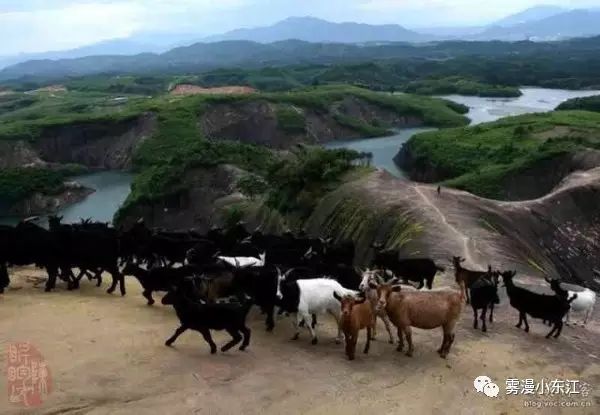 东江湖旅游攻略自驾_东白山自驾露营攻略_自驾鼓浪屿旅游攻略