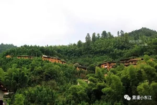 东江湖旅游攻略自驾_东白山自驾露营攻略_自驾鼓浪屿旅游攻略