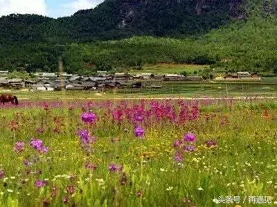 西安最好玩地方张裕瑞城堡相关地方_丽江好玩还是西双版纳_丽江好玩的地方