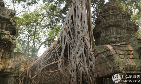 吴哥窟 旅游攻略_吴哥 旅游 地图_吴哥旅游多少钱