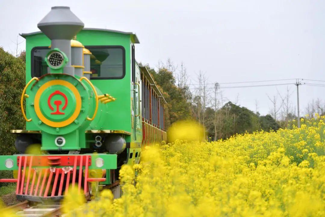 安仁古镇一日游攻略_安仁古镇到平乐古镇 班车_安仁古镇旅游攻略