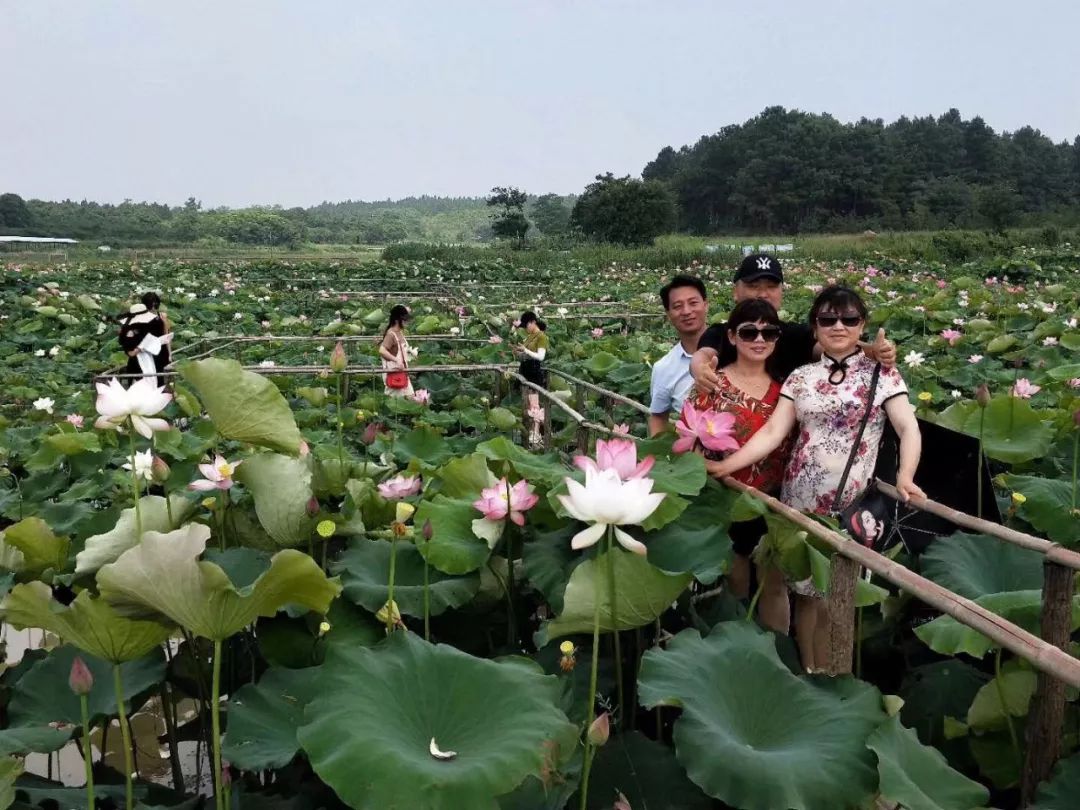 侗家古寨旅游攻略_安徽绩溪家朋旅游_家朋旅游攻略