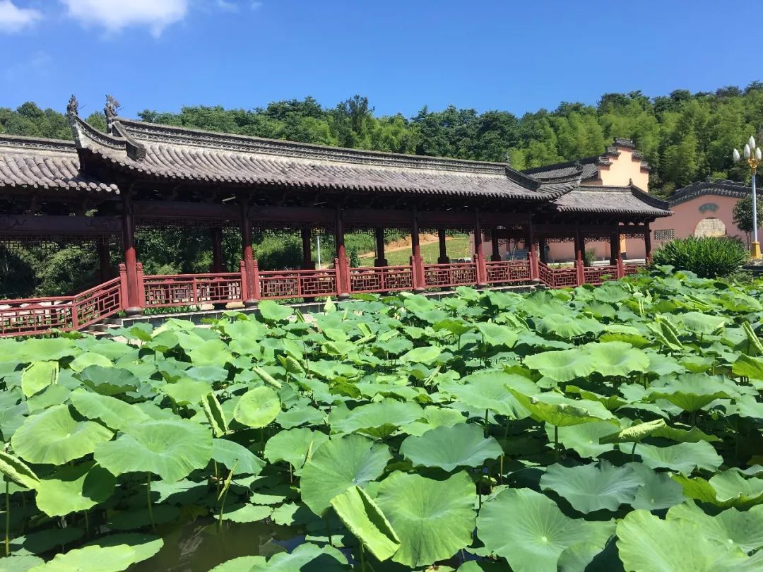 安徽家朋油菜花攻略_家朋旅游攻略_邬立朋家人的关系