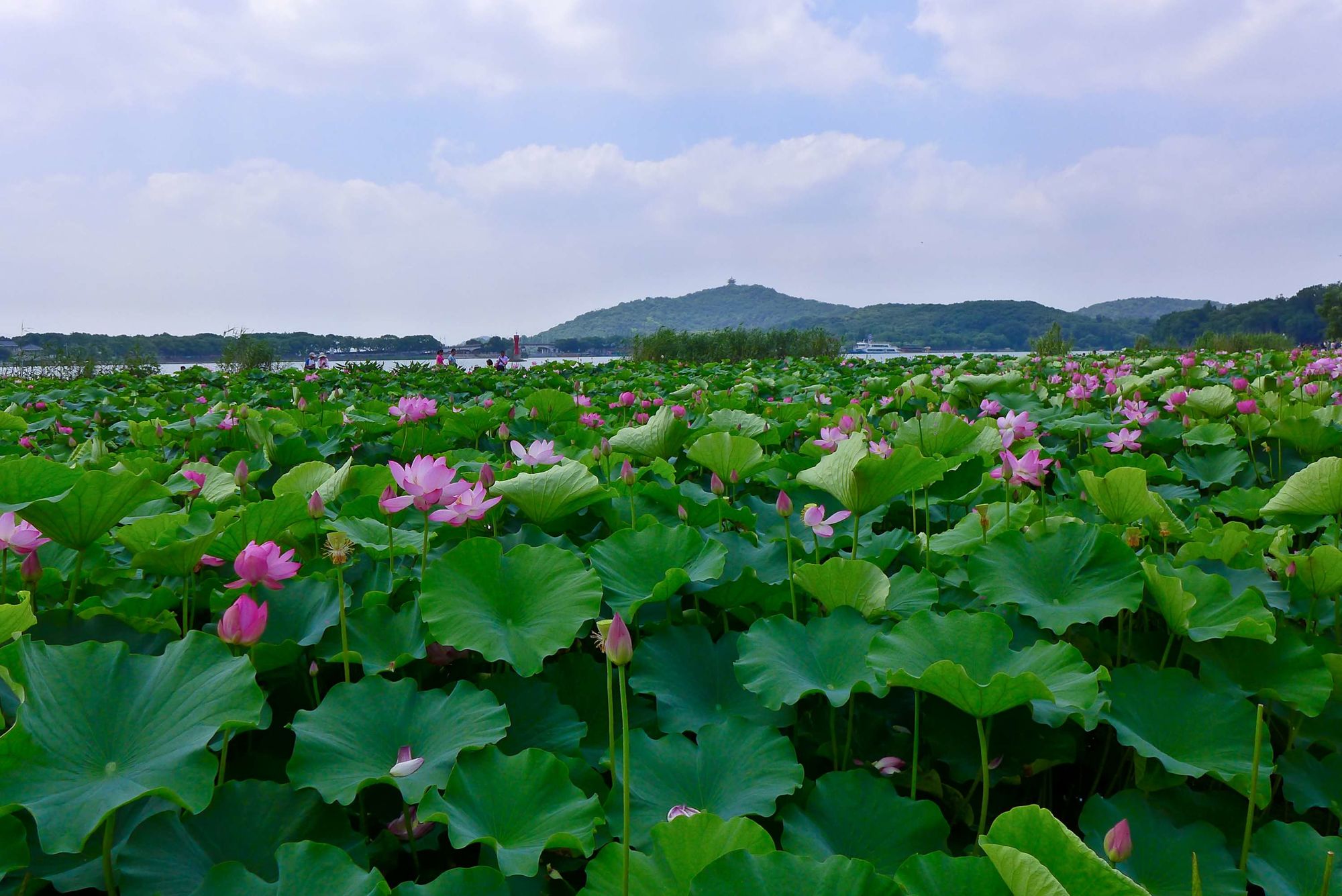 邬立朋家人的关系_家朋旅游攻略_安徽家朋油菜花攻略