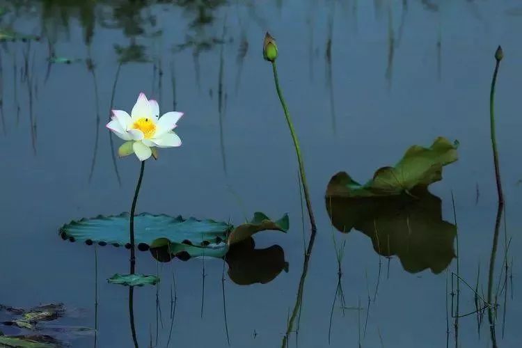 家朋旅游攻略_安徽家朋油菜花攻略_邬立朋家人的关系