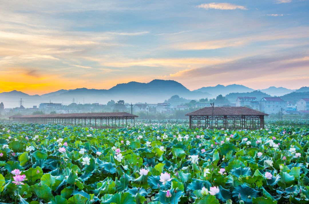 安徽家朋油菜花攻略_家朋旅游攻略_邬立朋家人的关系