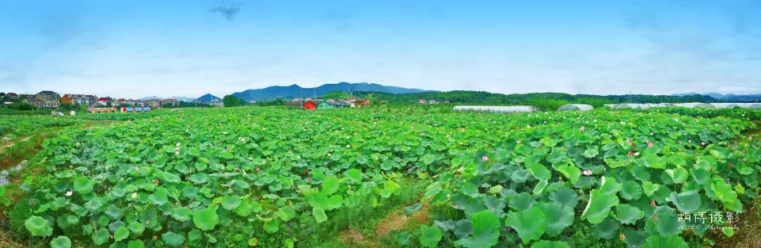 邬立朋家人的关系_家朋旅游攻略_安徽家朋油菜花攻略