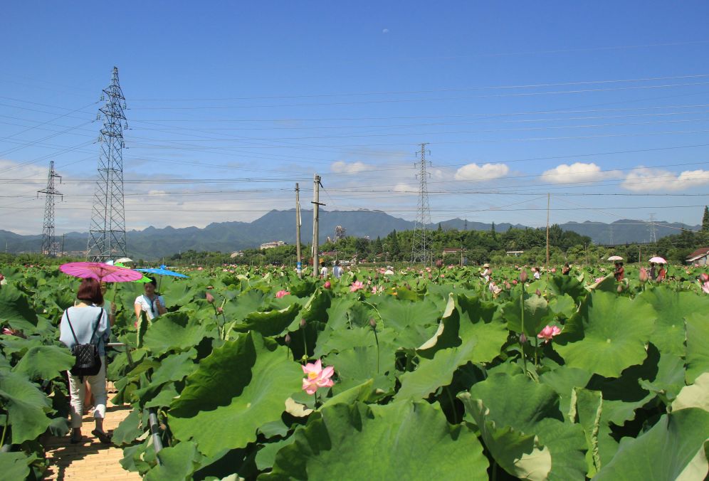 安徽家朋油菜花攻略_邬立朋家人的关系_家朋旅游攻略