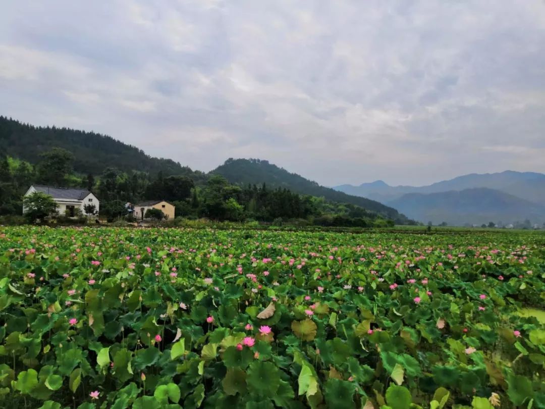 邬立朋家人的关系_家朋旅游攻略_安徽家朋油菜花攻略