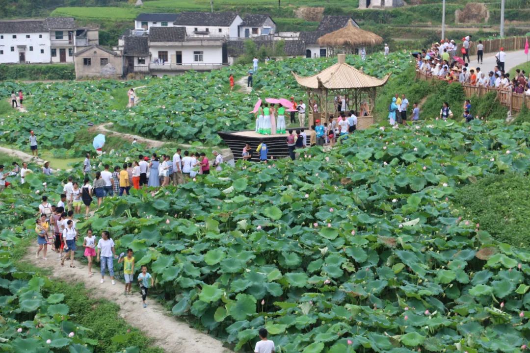 安徽家朋油菜花攻略_家朋旅游攻略_邬立朋家人的关系