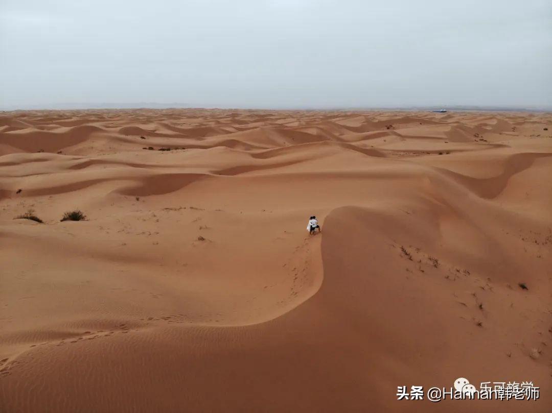 中卫旅游景点攻略_中卫市旅游攻略_中卫旅游十大景点