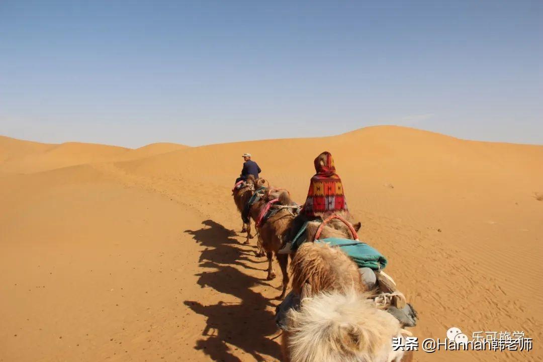 中卫旅游景点攻略_中卫旅游十大景点_中卫市旅游攻略