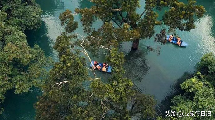 五一贵州旅游攻略，贵州省旅游费用大概多少？！