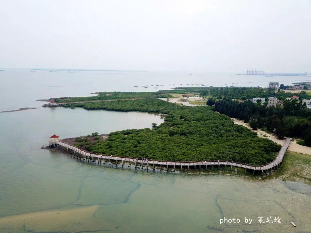 湛江市内旅游攻略_湛江攻略旅游市内景点推荐_湛江市内游玩攻略