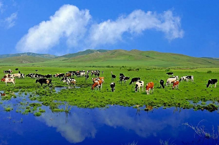 南京好玩的地方非景点_好玩景点南京地方推荐_好玩景点南京地方排名