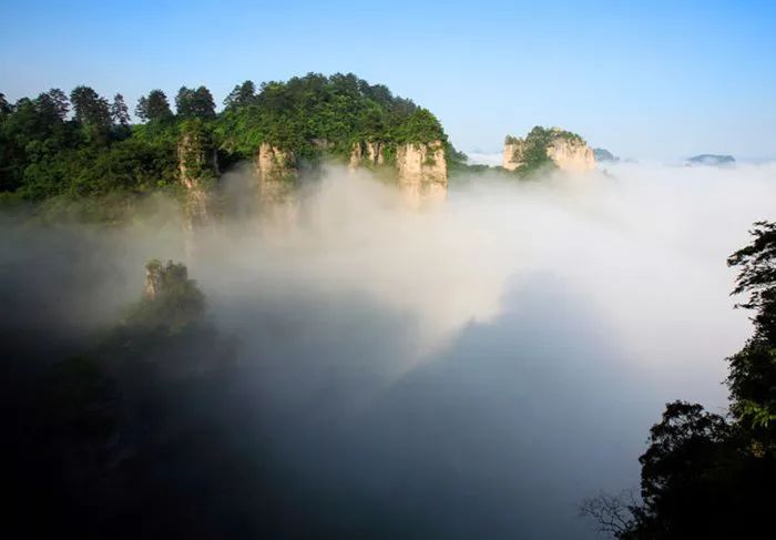 王莽岭旅游攻略_王莽岭自驾游_王莽岭山顶住宿