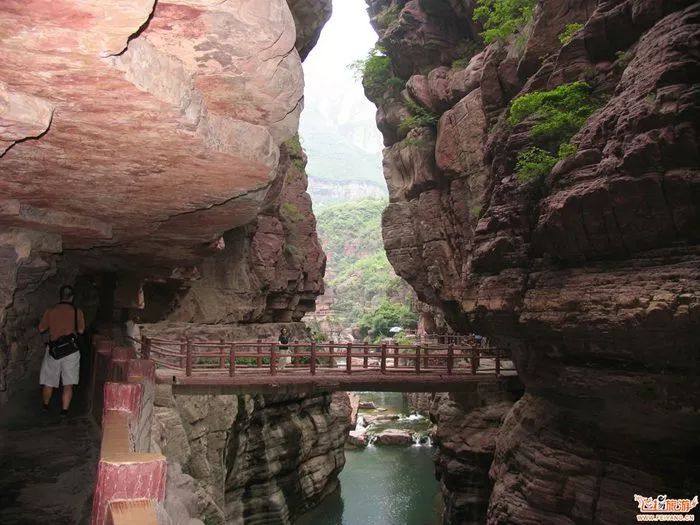 王莽岭自驾游_王莽岭山顶住宿_王莽岭旅游攻略