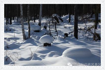 《山居秋暝》古诗意思_冬天国外旅游好去处_长丰县公共资源交易中心网站