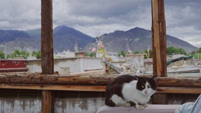 国外蜜月旅游去哪里最好_蜜月国外旅游去哪里好_国外蜜月旅游去哪里最好知乎