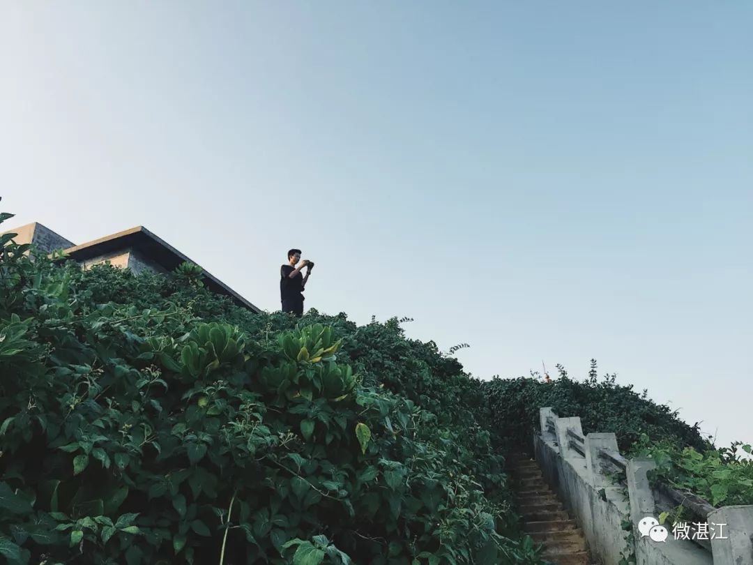 硇洲岛旅游攻略_攻略涠洲岛_自助游涠洲岛