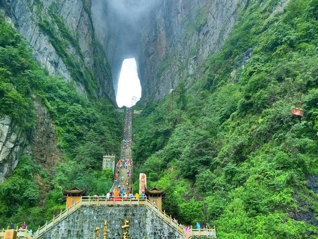 张家界天门山森林公园在哪里_张家界国家森林公园和天门山哪个好玩_张家界天门山公园官网