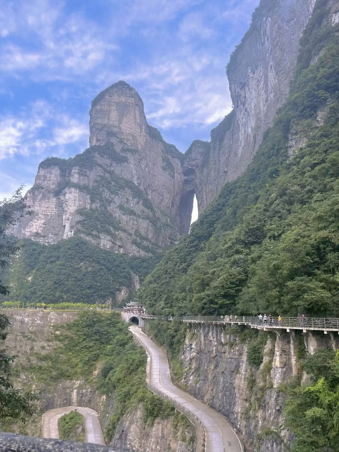 张家界天门山森林公园在哪里_张家界天门山公园官网_张家界国家森林公园和天门山哪个好玩