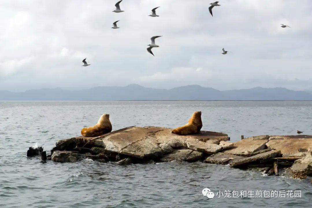 国外旅游推荐_暑期国外旅游推荐_暑假国外避暑旅游推荐