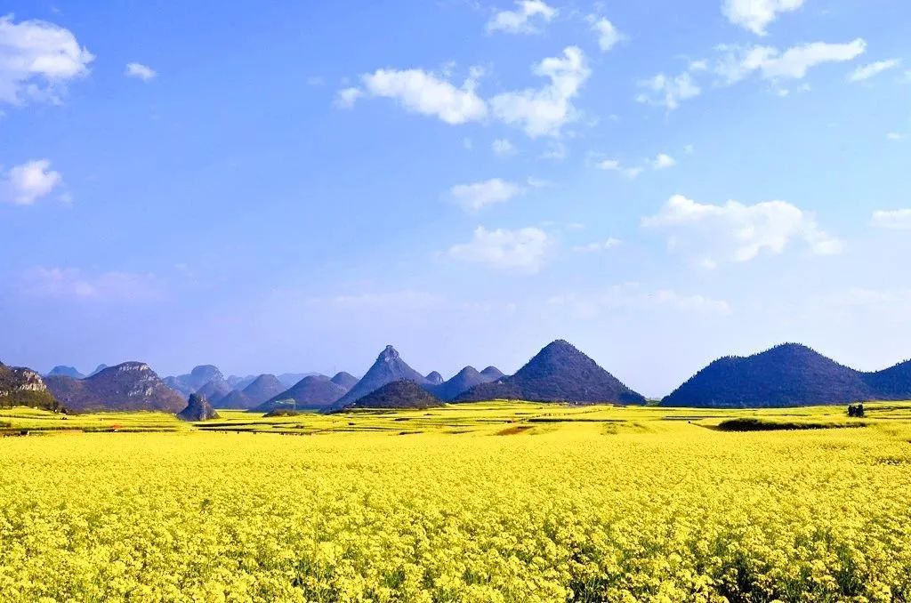 春节去哪旅游便宜 国外_春节国外哪些地方适合旅游_春节国外去哪玩