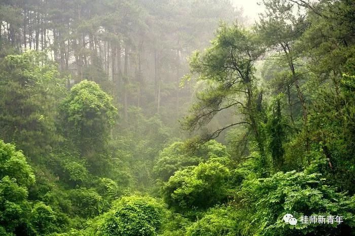 桂林博物馆游玩攻略_桂林哪里有博物馆_桂林哪个博物馆最好