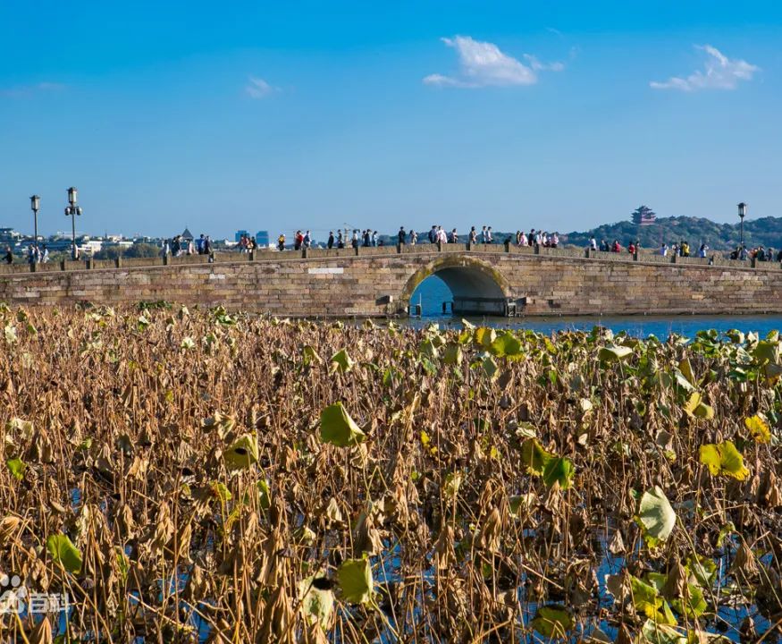 杭州市宋城旅游景点门票价格_杭州宋城景区旅游攻略_杭州市宋城旅游攻略