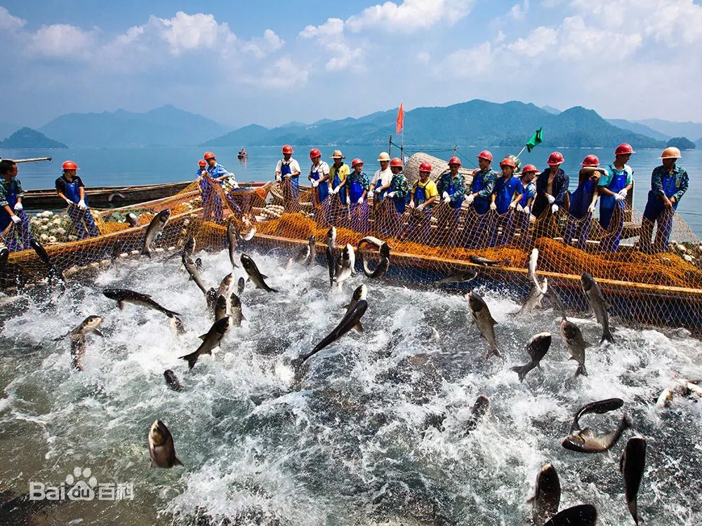 杭州宋城景区旅游攻略_杭州市宋城旅游景点门票价格_杭州市宋城旅游攻略