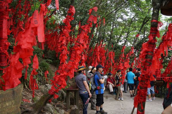 冬季张家界攻略_张家界冬天旅游攻略_张家界攻略冬旅游天气如何