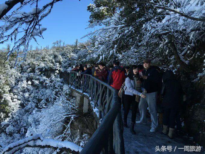 张家界冬天旅游攻略_张家界攻略冬旅游天气如何_张家界冬季旅游线路