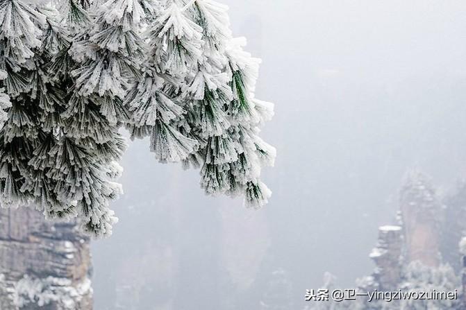 张家界冬季旅游攻略自由行三天_张家界冬天旅游攻略_张家界攻略冬旅游天气如何