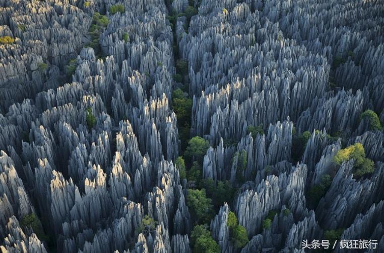 石林景区游玩攻略_石林景区好玩吗_石林景区旅游攻略