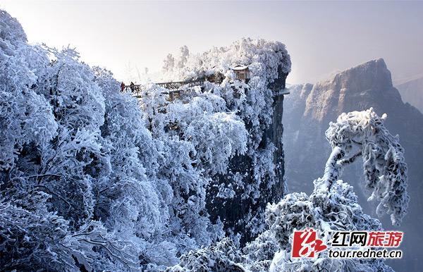 张家界冬天旅游攻略_张家界冬季旅游攻略自由行三天_张家界攻略冬旅游天气怎么样