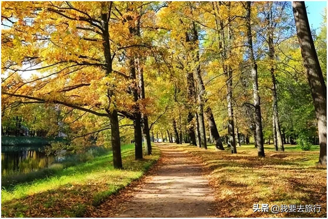 金秋时节，现在还可以海外旅行吗？(组图)