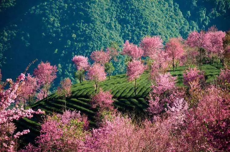 北京有什么景点好玩_北京好玩儿的景点_北京冬天好玩的景点